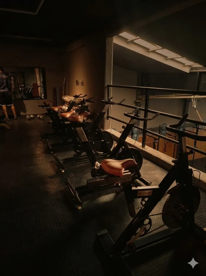 Fila de bicicletas y equipamiento de cardio en la planta alta del gimnasio